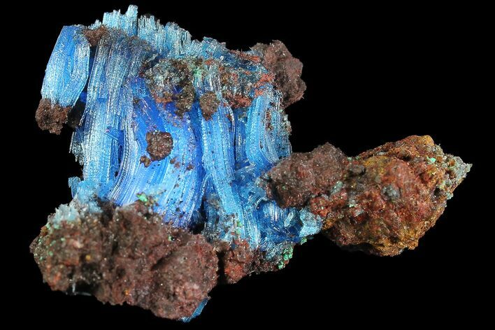 Vibrant Blue Chalcanthite with Malachite - Planet Mine, Arizona #176444